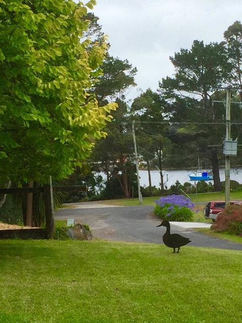 Wandering Geese Boutique Bed And Breakfast - Go Out 15