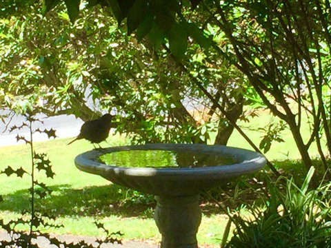 Wandering Geese Boutique Bed And Breakfast - Go Out 19