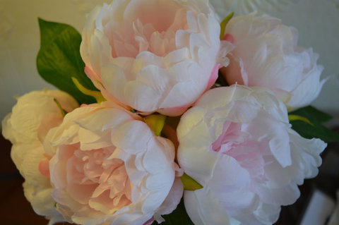 The Dragonfly Inn - Go Out 36