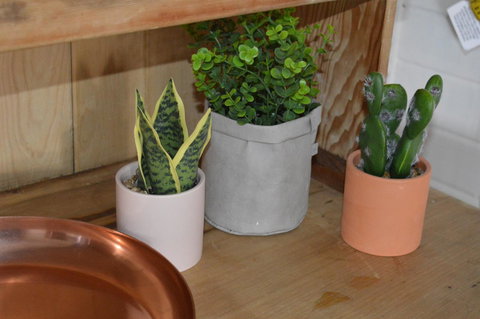 The Dragonfly Inn - Go Out 4