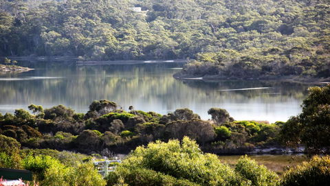 SEA EAGLE COTTAGE Amazing Views Of Bay Of Fires - Go Out 17