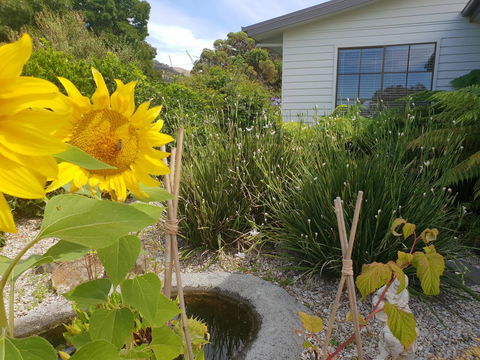 Garden By The Beach - Gateway To The East Coast, Close To Airport - Pubs and Clubs 13