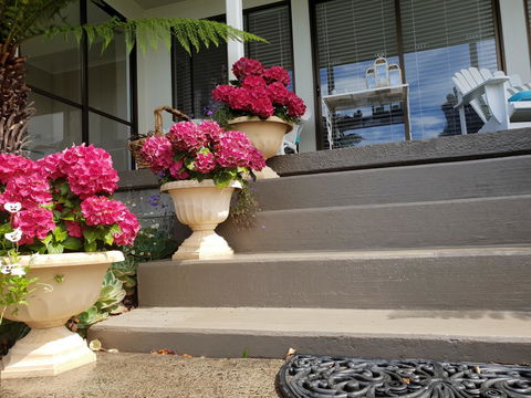 Garden By The Beach - Gateway To The East Coast, Close To Airport - Pubs and Clubs 8