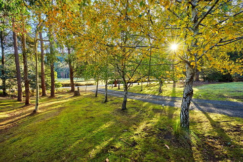 Oyster Cove Chalet - Go Out 1