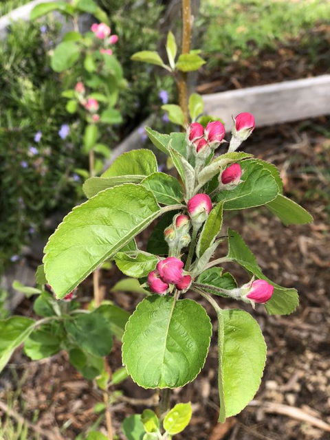 A Cottage In Richmond - Pubs and Clubs 18