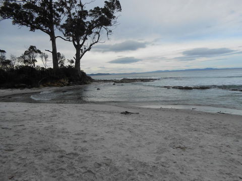 Bruny Ocean Cottage - Go Out 7