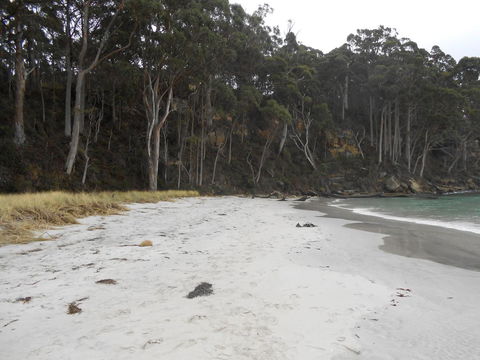 Bruny Ocean Cottage - Go Out 12