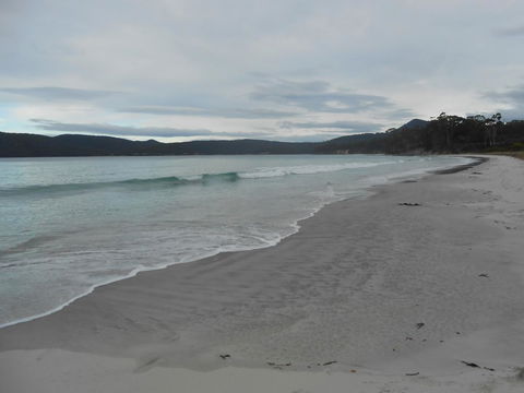 Bruny Ocean Cottage - Go Out 11
