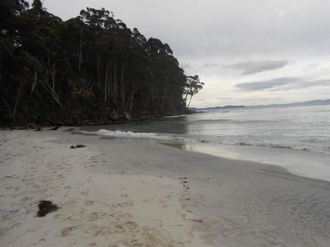 Bruny Ocean Cottage - Go Out 17