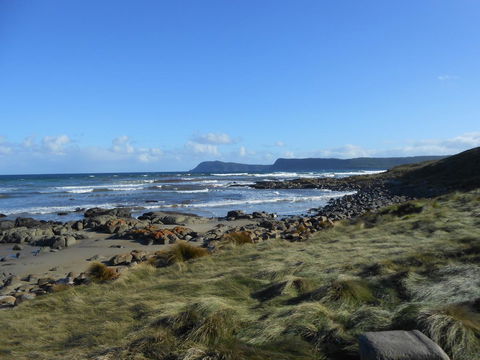 Bruny Ocean Cottage - Go Out 15