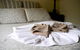 Aldermere Estate Luxury Apartments - thumb 27