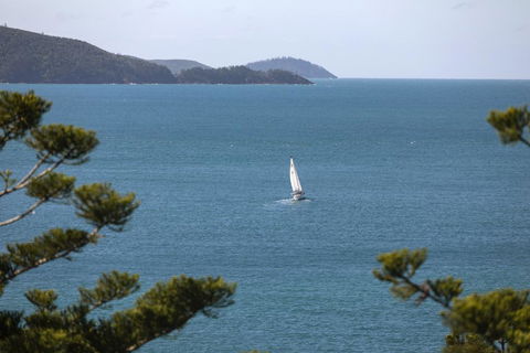 NEW Northcape 1 Ocean Front 2 Bedroom Choose Between 2 Properties - Pubs and Clubs 2