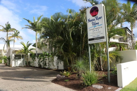 Noosa River Palms - Go Out 2