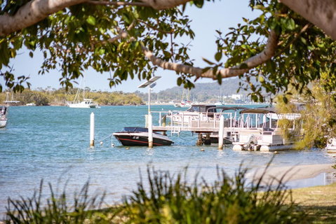 Noosa River Palms - Go Out 1