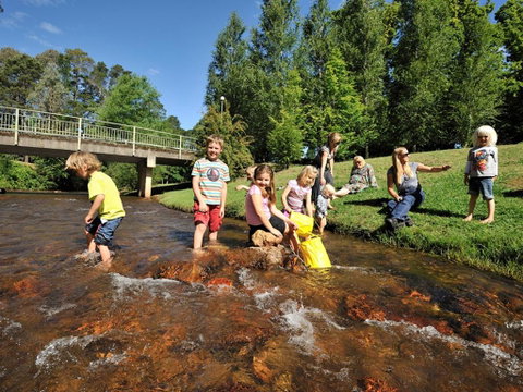 NRMA Bright Holiday Park - Pubs and Clubs 0