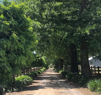 Oak Lane Guest House Farm Stay - Go Out