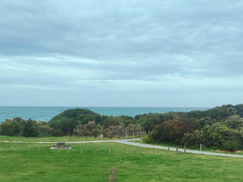 ODYSSEY APOLLO BAY - Pubs and Clubs 2