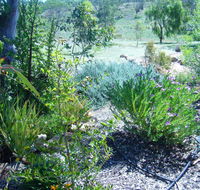 Old Miners' Cottages Bed and Breakfast - Pubs and Clubs