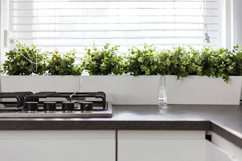 Paddington Apartment, Escape In Luxury - Go Out 3