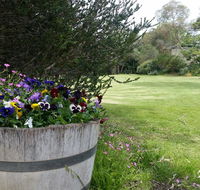 Padthaway Caravan Park - Pubs and Clubs