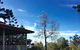 Pechey Homestead - thumb 3