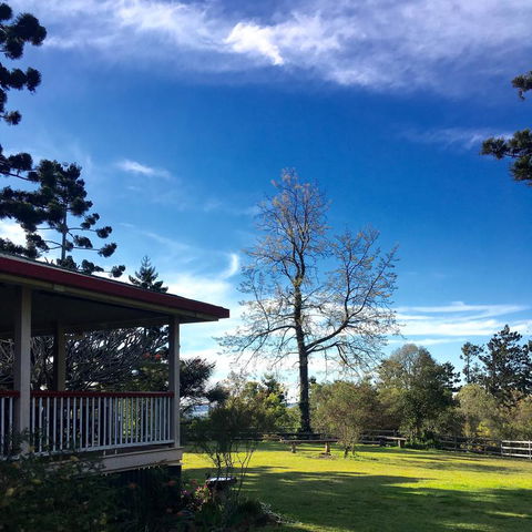 Pechey Homestead - Pubs and Clubs 3