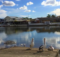 Pelican Cove Apartments - Pubs and Clubs