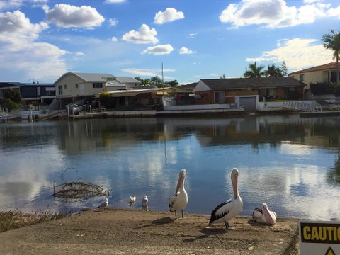 Pelican Cove Apartments - Pubs and Clubs 0