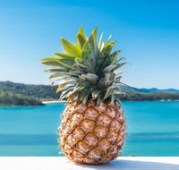 Pineapple House Whitsundays - Go Out