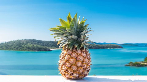 Pineapple House Whitsundays - Go Out 0