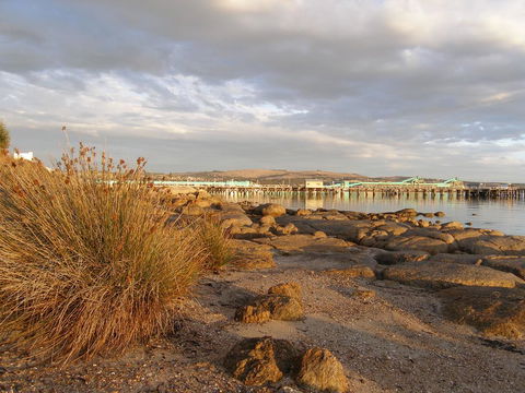 Port Lincoln Holiday Houses - Pubs and Clubs 3