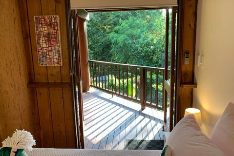 Private Rainforest Retreat With Lagoon Style Pool - Pubs and Clubs 1