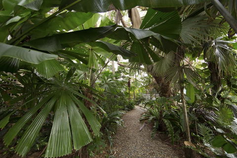 Rainforest Castaways Resort And Spa - Pubs and Clubs 1