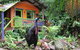Rainforest Hideaway - thumb 0