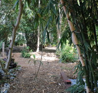 Rainforest Water Front River Shack Secluded. - Pubs and Clubs