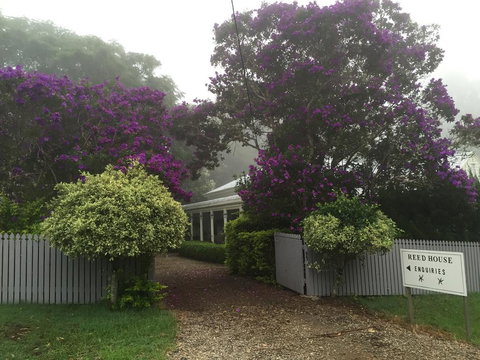 REED HOUSE At Maleny-The White Pavilion - Go Out 0