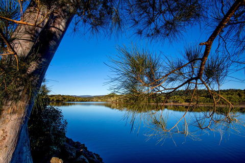 Reflections Holiday Parks Ferry Reserve - Pubs and Clubs 3