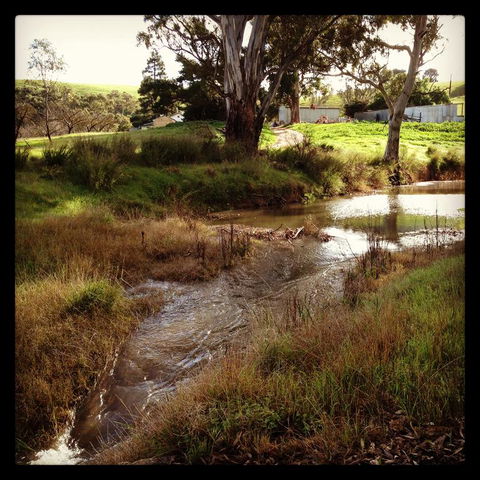 River Cottage Barossa -Self Contained-30 Acres-360 Degree Views-Netflix -Wine-Wifi - Pubs and Clubs 3