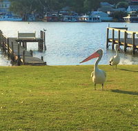 Riverfront Getaway - Mannum - Pubs and Clubs