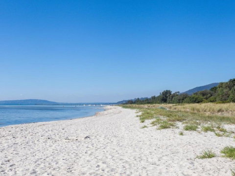 Rosebud Beach Babe - Pubs and Clubs 0