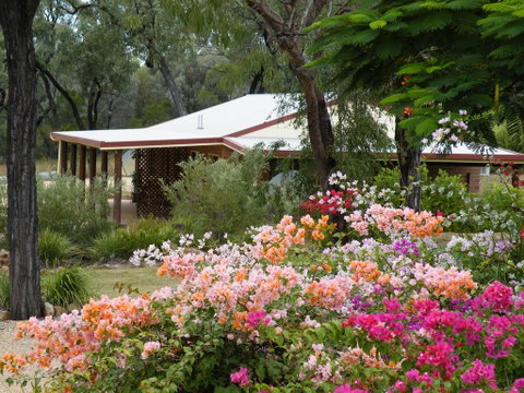 Rubyvale Motel & Holiday Units - Pubs and Clubs 3
