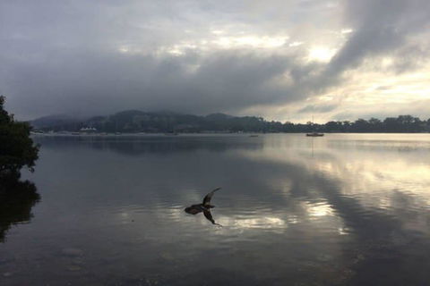 Salty Kisses Holiday House - Pubs and Clubs 2