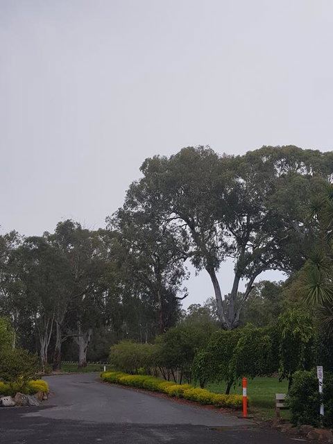 Seymour Motel - Go Out 3