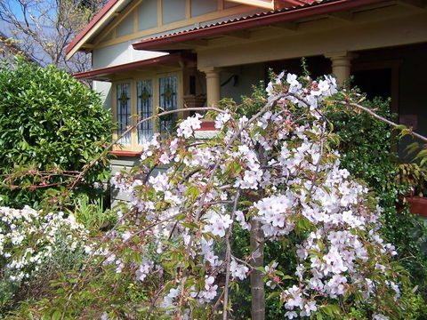 Shelton-Lea Bed & Breakfast - Pubs and Clubs 0