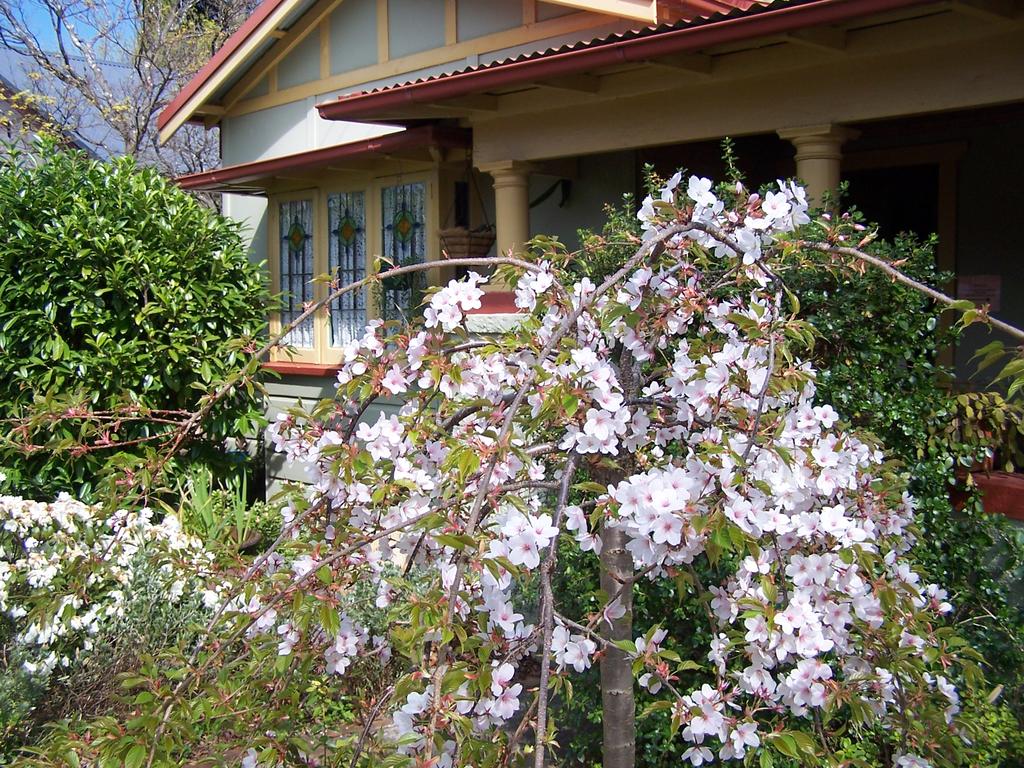 Katoomba NSW Pubs and Clubs
