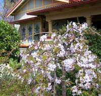 Shelton-Lea Bed  Breakfast - Pubs and Clubs