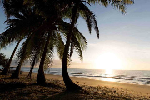 Spice At Oak Award Winning Luxury Absolute Oceanfront House Oak Beach Near Port Douglas - Pubs and Clubs 1