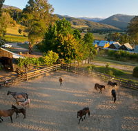 Spring Spur - Pubs and Clubs