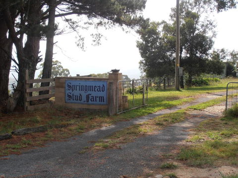 Springmead B&B - Go Out 2