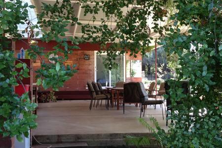 Sue's Sanctuary - Pubs and Clubs 1